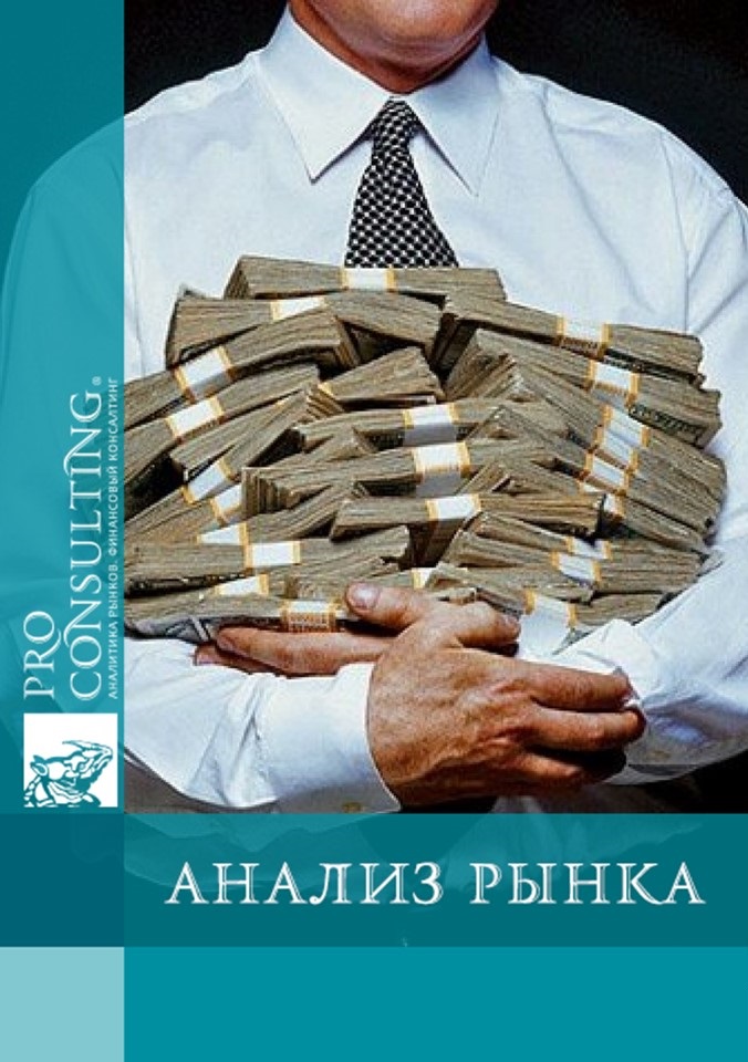 Анализ рынка проектного финансирования малого и среднего бизнеса Украины. 2007 год